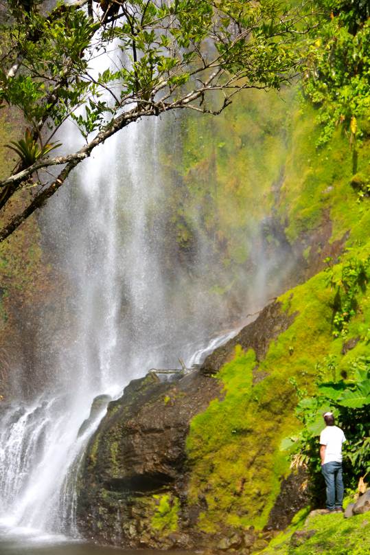 waterfall